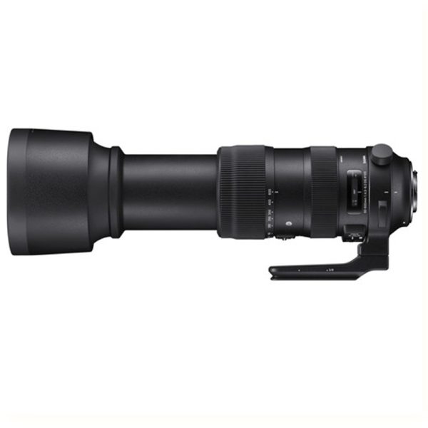ong kinh sigma 60600mm f4563 dg os hsm sports for nikon f 32